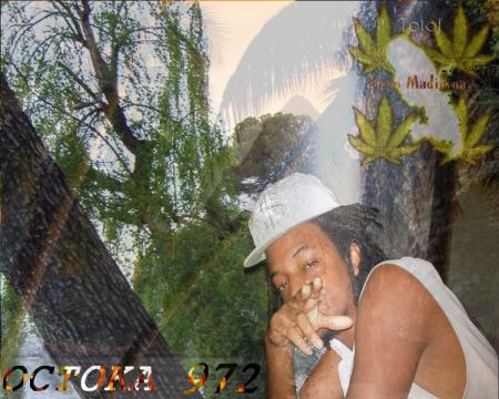 octoka 972 in the place