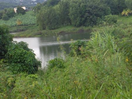 le lac de mon quartier